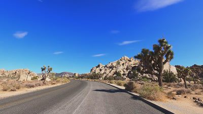 DRIVE_THROUGH_JOSHUA_TREE_VIDEO
