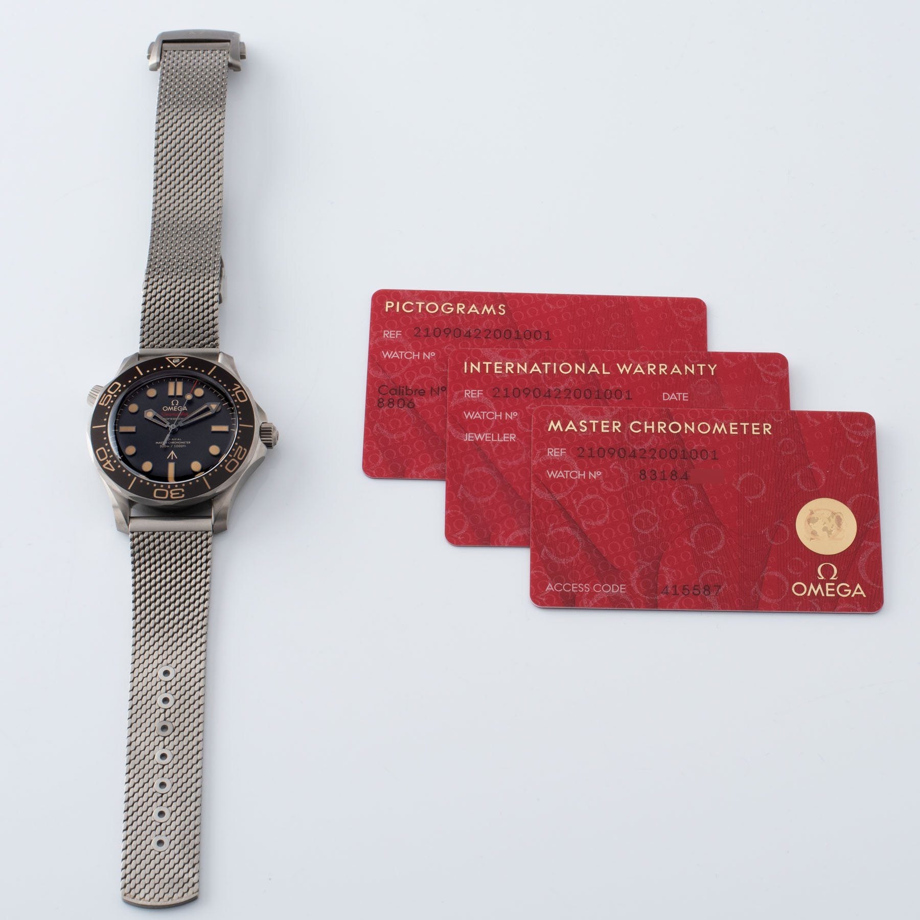 Omega Seamaster 300 James Bond