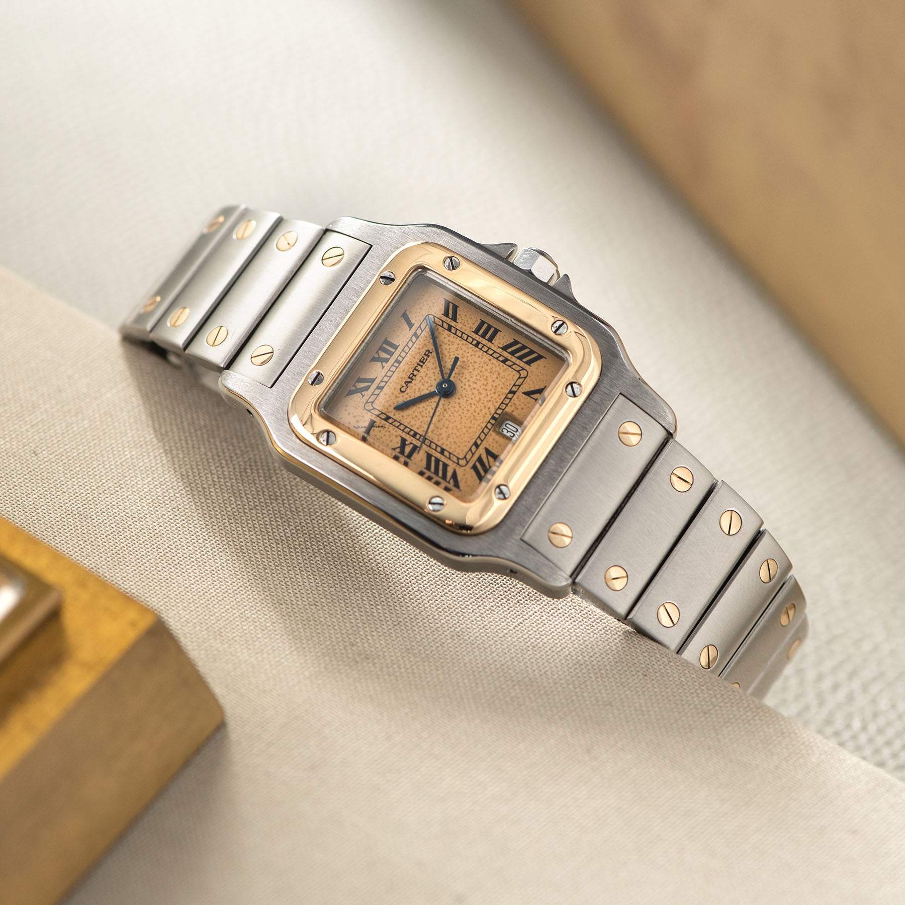 Cartier Santos Steel and Gold Stingray Dial